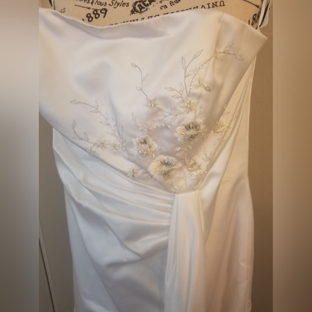 David's Bridal wedding dress - Picture 2 of 4
